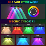 Solar Powered RGB Spotlight