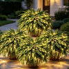 Glowing Boston Ferns with Lights